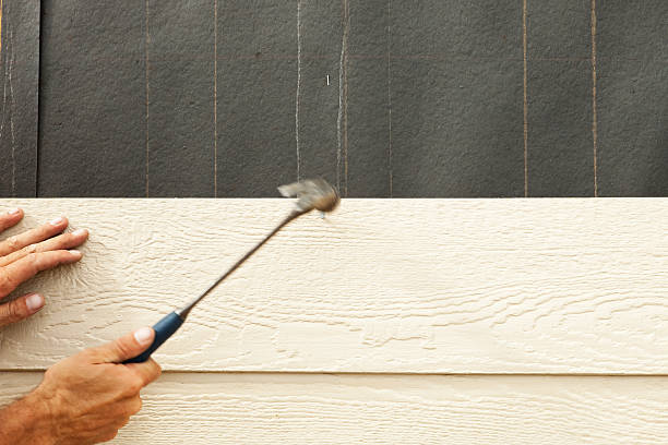 Best Custom Siding Design  in Minnehaha, WA